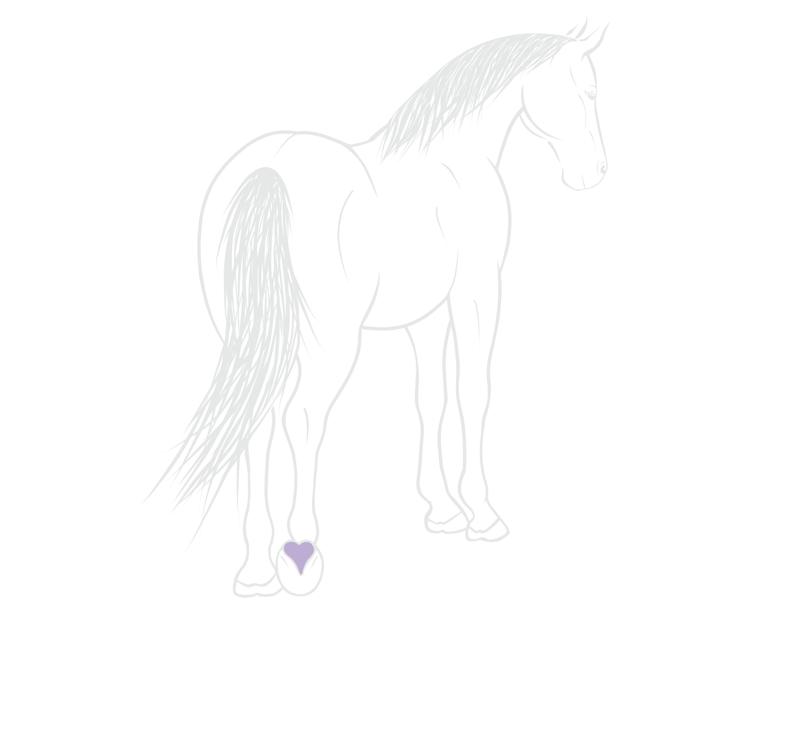 Voth Equine Services